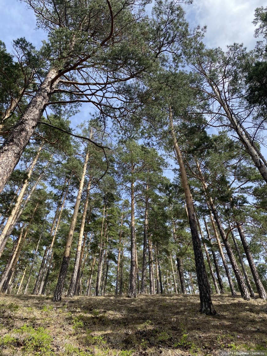 В лиловом лесу — Игровые куклы разных производителей (Разное): редкие бренды