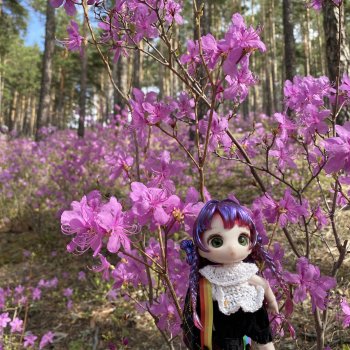 В лиловом лесу.