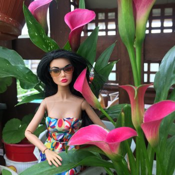 Поппи,первые  летние фото