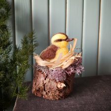 Уточка в гнезде