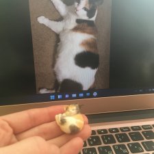 необычная просьба