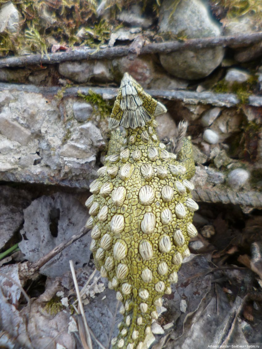Анкилозавры в весеннем лесу