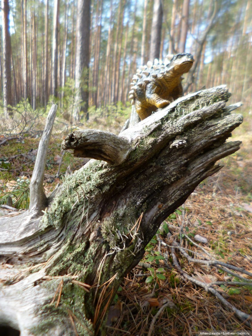 Анкилозавры в весеннем лесу (фото 10)