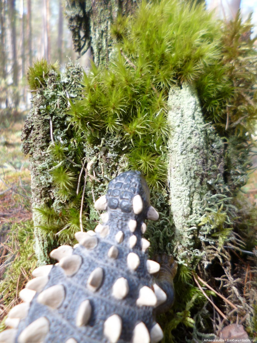 Анкилозавры в весеннем лесу (фото 9)