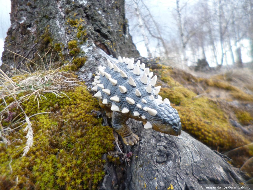 Анкилозавры в весеннем лесу (фото 7)