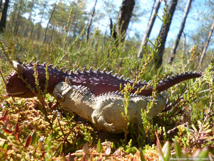 О хищниках: Хазгир и Зегна