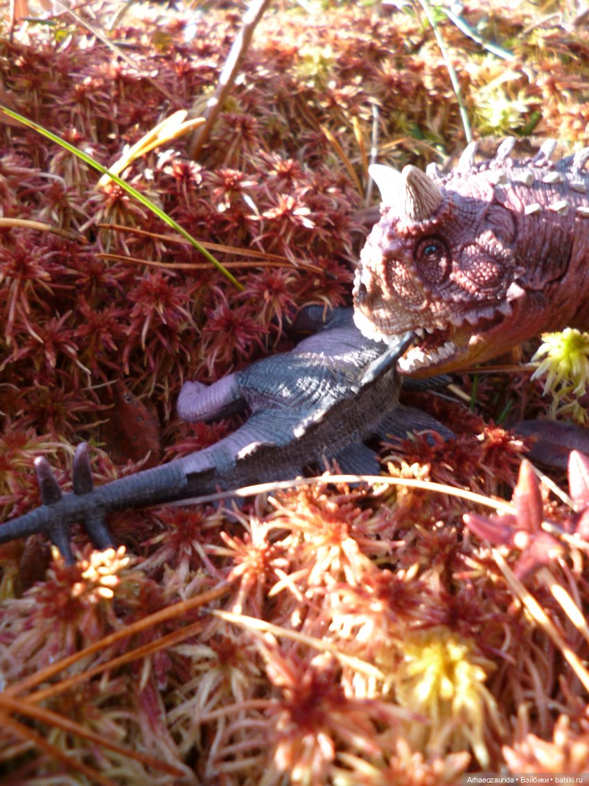 О хищниках: Хазгир и Зегна (фото 10)