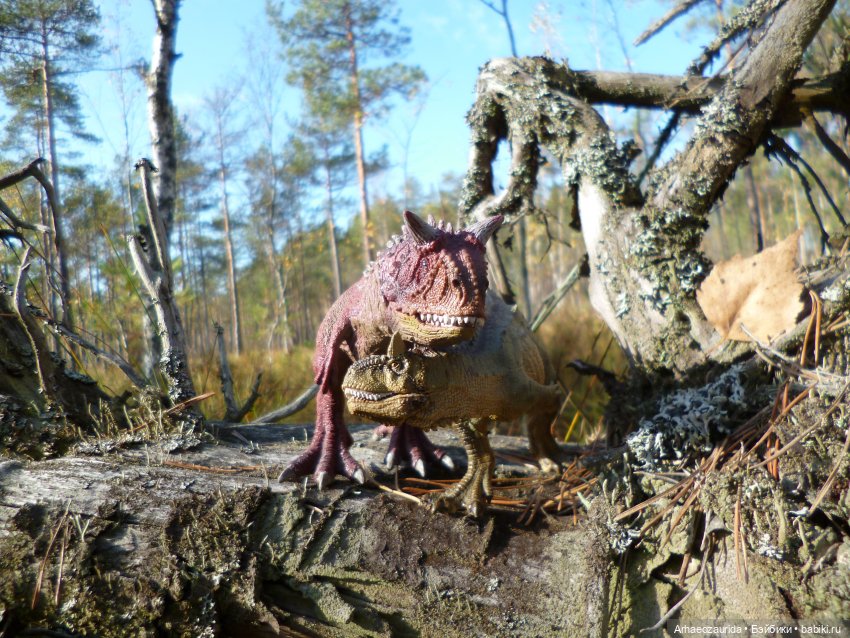 О хищниках: Хазгир и Зегна