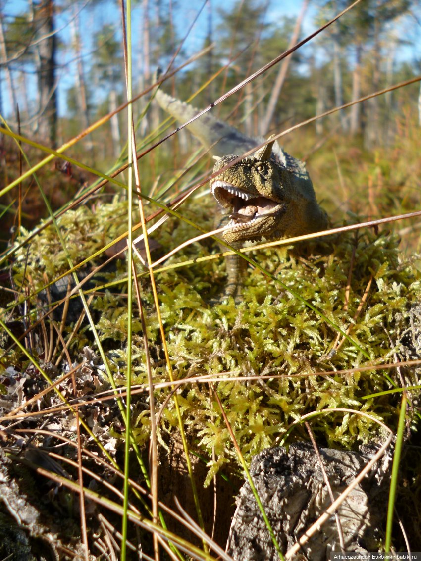 О хищниках: Хазгир и Зегна (фото 8)