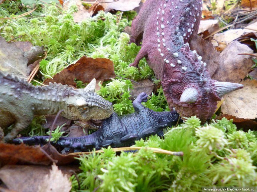 О хищниках: Хазгир и Зегна