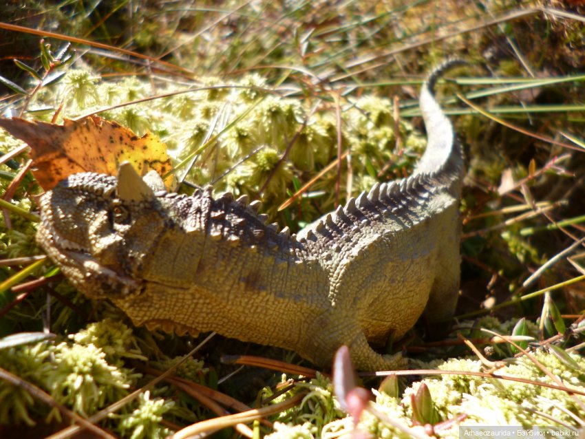 О хищниках: Хазгир и Зегна (фото 2)