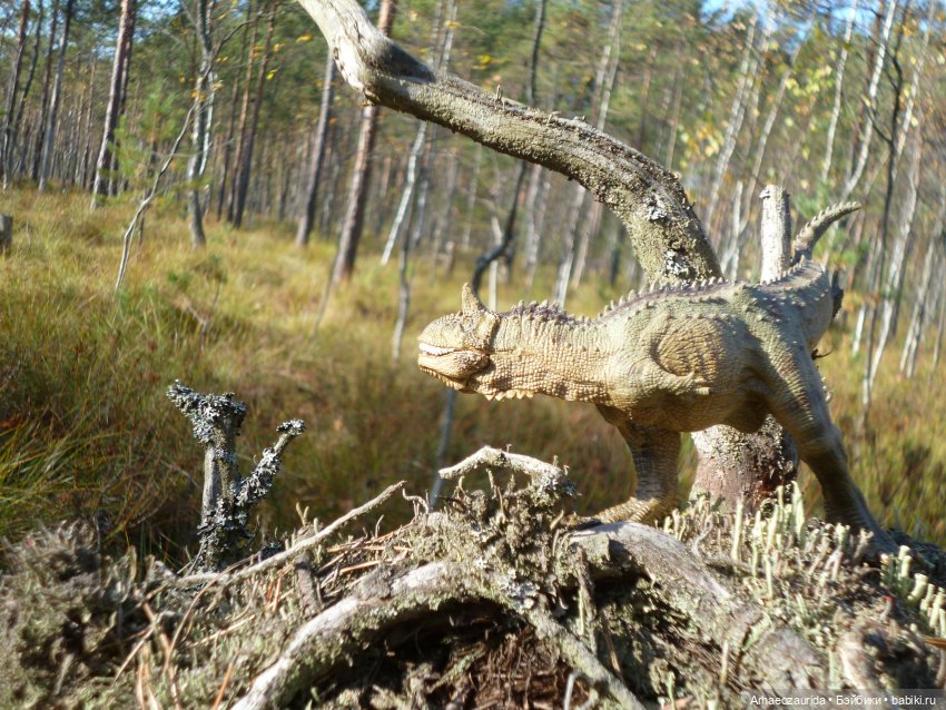 О хищниках: Хазгир и Зегна