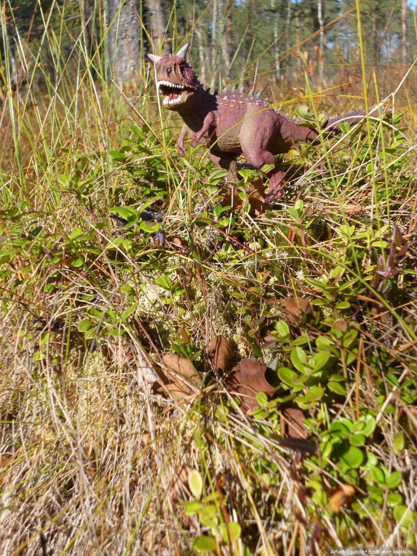 О хищниках: Хазгир и Зегна (фото 7)