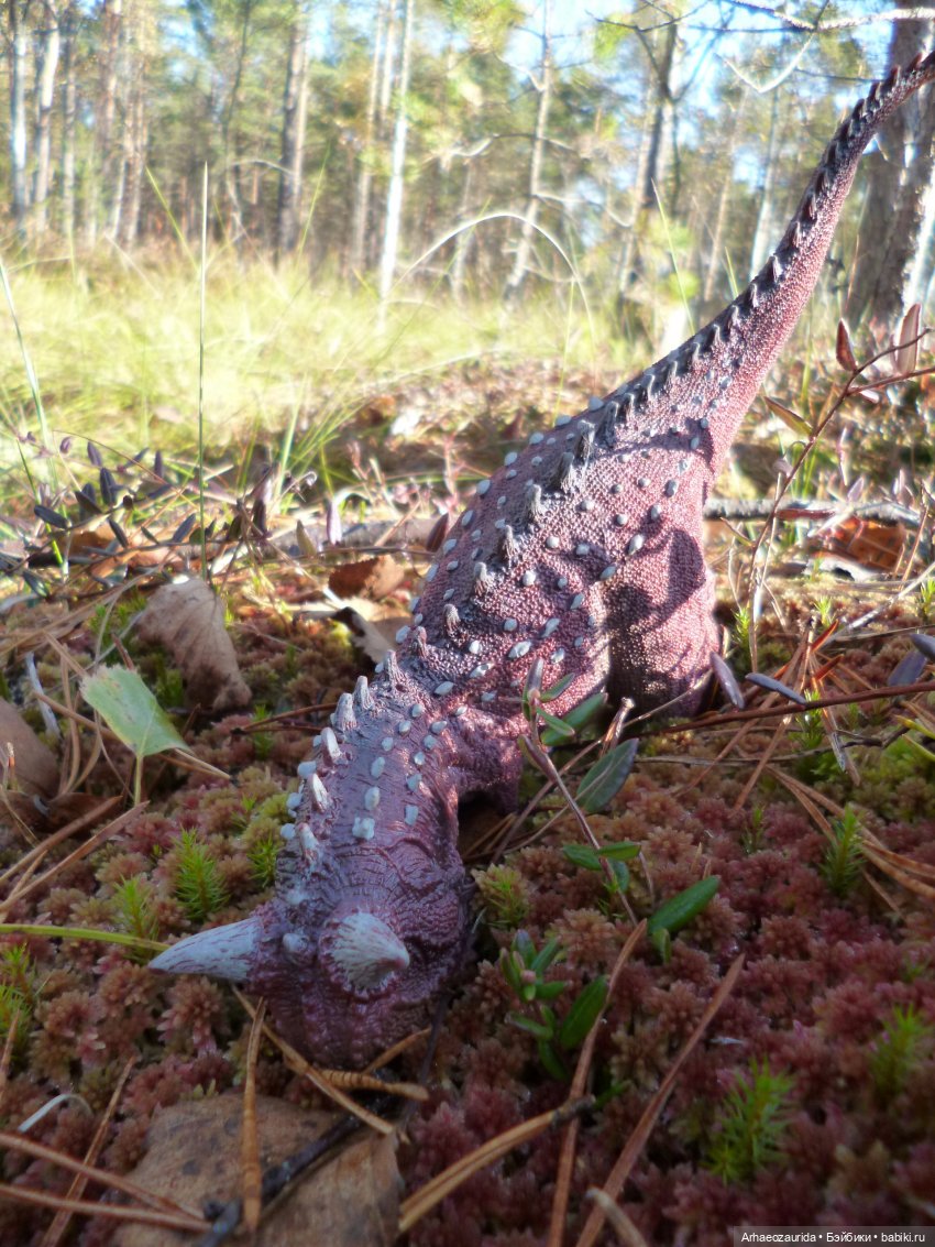 О хищниках: Хазгир и Зегна (фото 9)