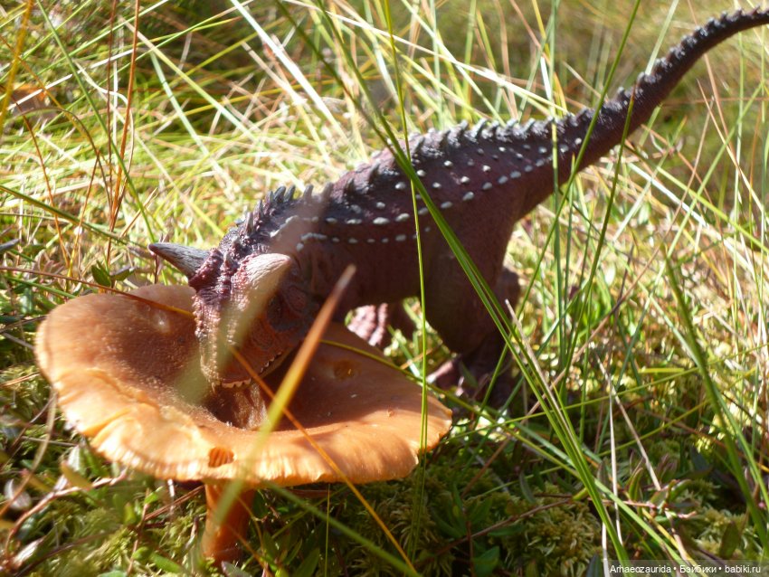 О хищниках: Хазгир и Зегна (фото 6)