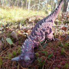 О хищниках: Хазгир и Зегна