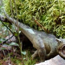 "Страж гнезда" (продолжение истории про карнотавров)