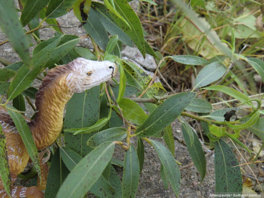 Ящеры у Реки: рассказ Зурги (фото 2)