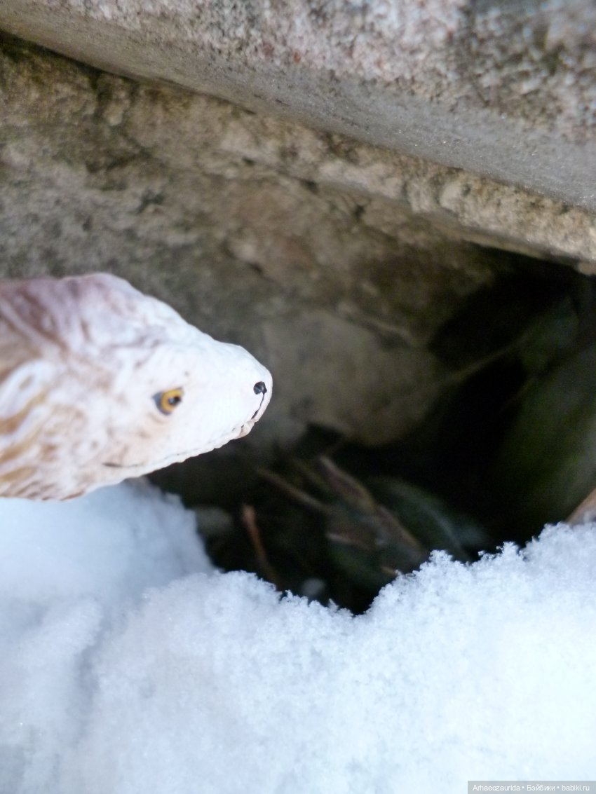 Ящеры у Реки: рассказ Зурги