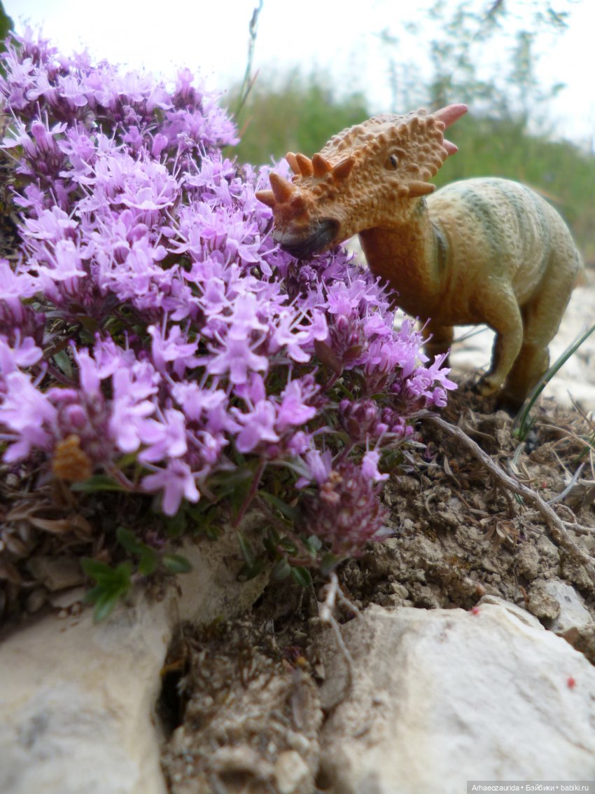 Ящеры на рыбалке (продолжение «Рассказа Зурги») | Бэйбики Ящеры на рыбалке (продолжение «Рассказа Зурги») (фото 2)