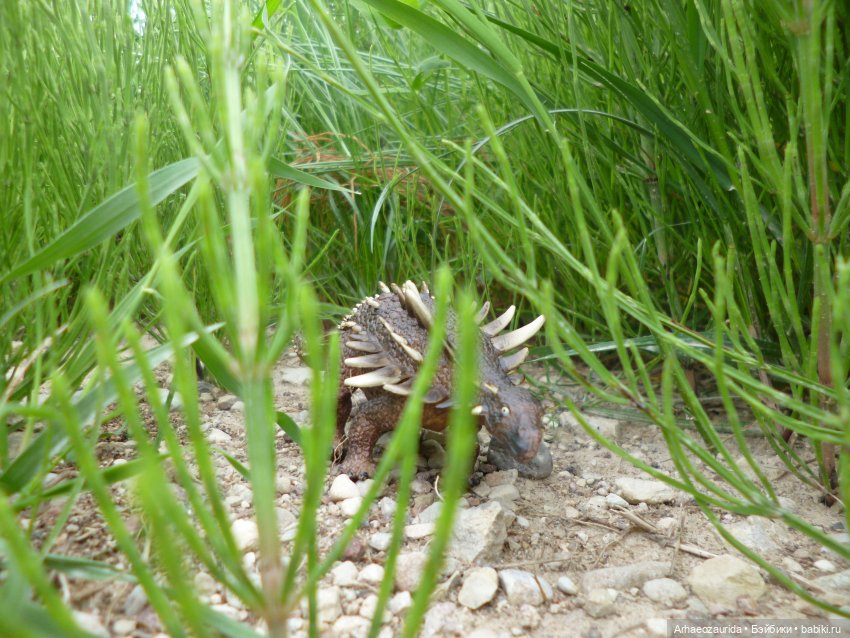 Ящеры на рыбалке (продолжение «Рассказа Зурги») | Бэйбики Ящеры на рыбалке (продолжение «Рассказа Зурги»)