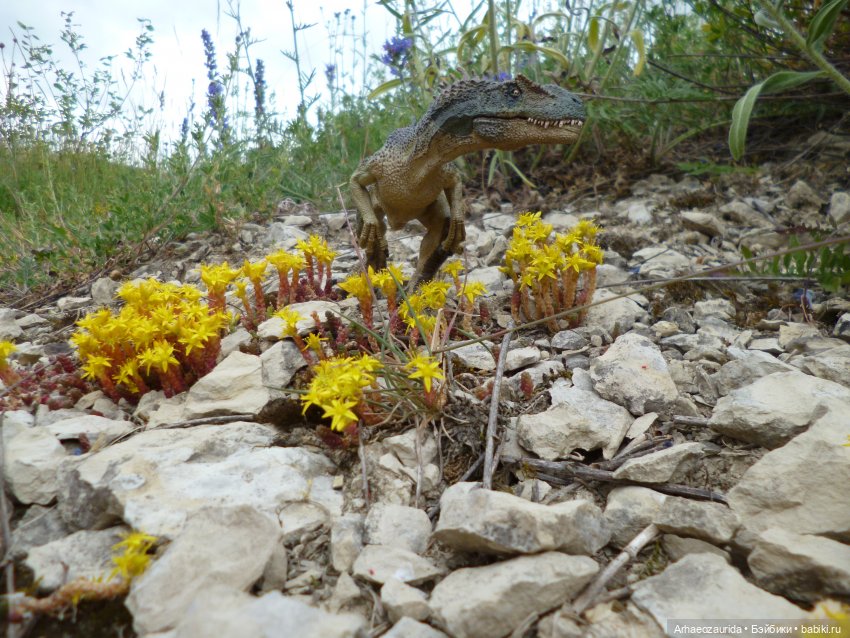 Ящеры на рыбалке (продолжение «Рассказа Зурги») | Бэйбики Ящеры на рыбалке (продолжение «Рассказа Зурги») (фото 4)