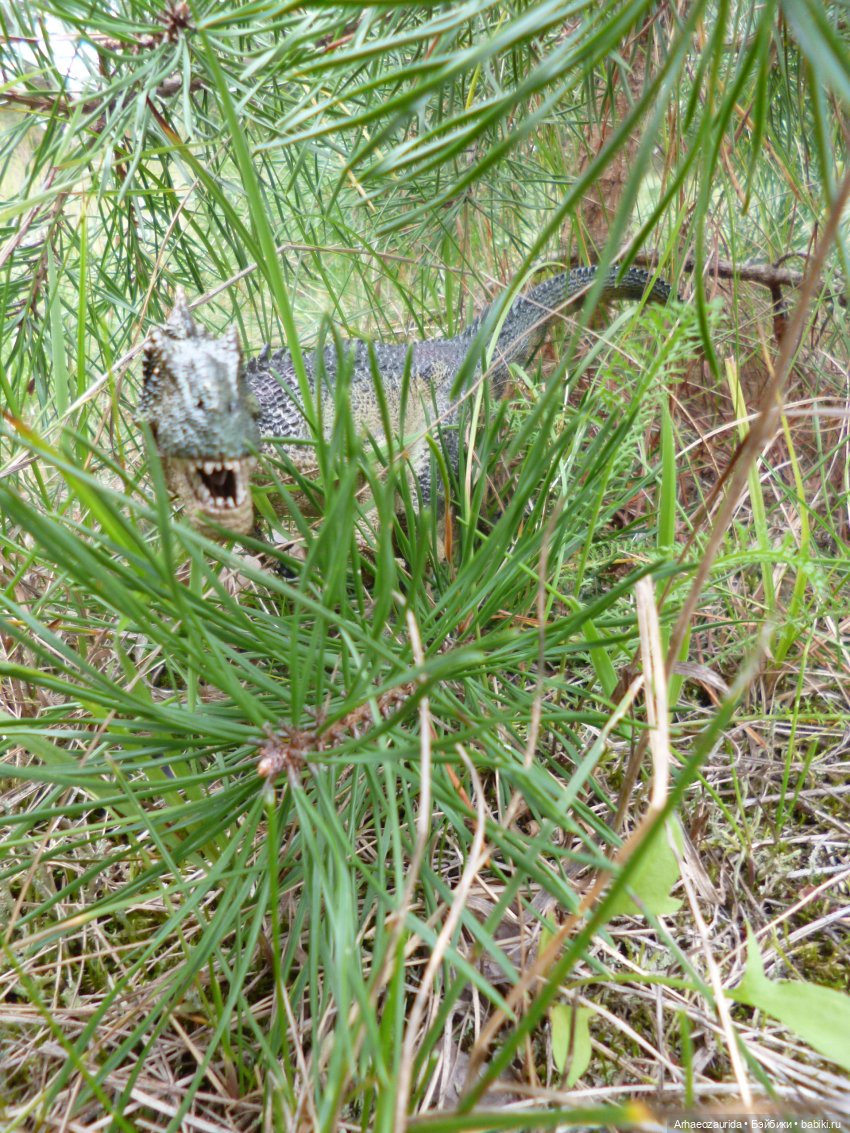 Возвращение Шеда (продолжение «Ящеров у Реки») | Бэйбики Возвращение Шеда (продолжение «Ящеров у Реки») (фото 10)