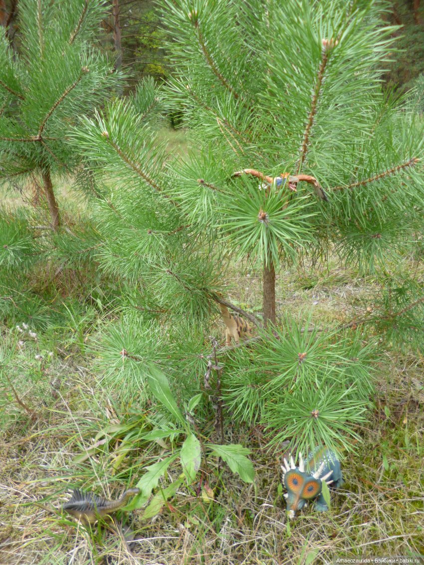 Возвращение Шеда (продолжение «Ящеров у Реки») | Бэйбики Возвращение Шеда (продолжение «Ящеров у Реки») (фото 4)