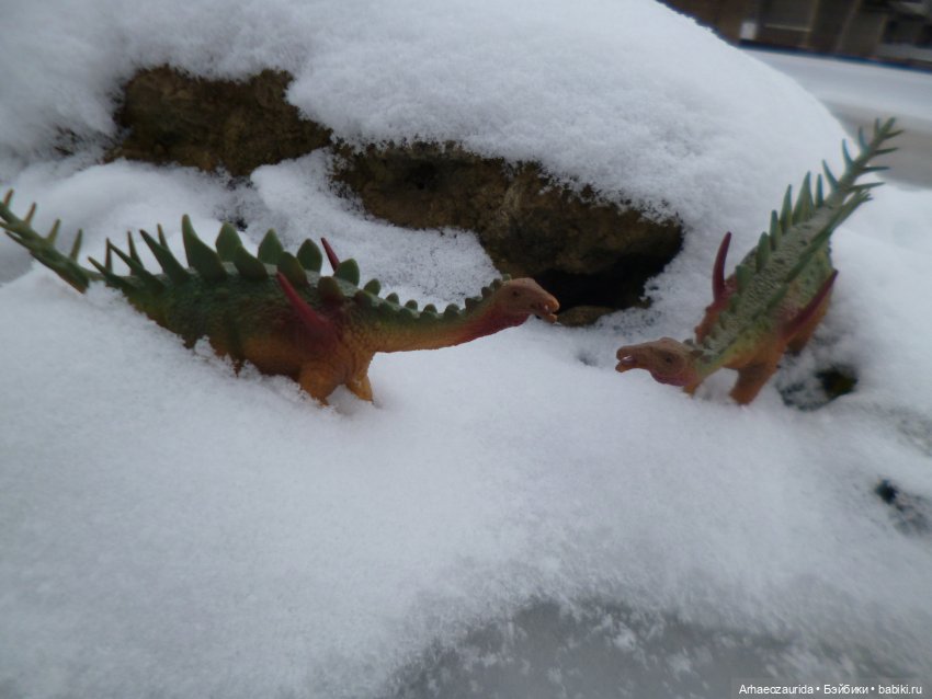 Зима пришла: ящеры и снег (фото 2)