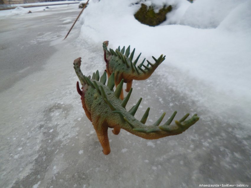 Зима пришла: ящеры и снег (фото 5)