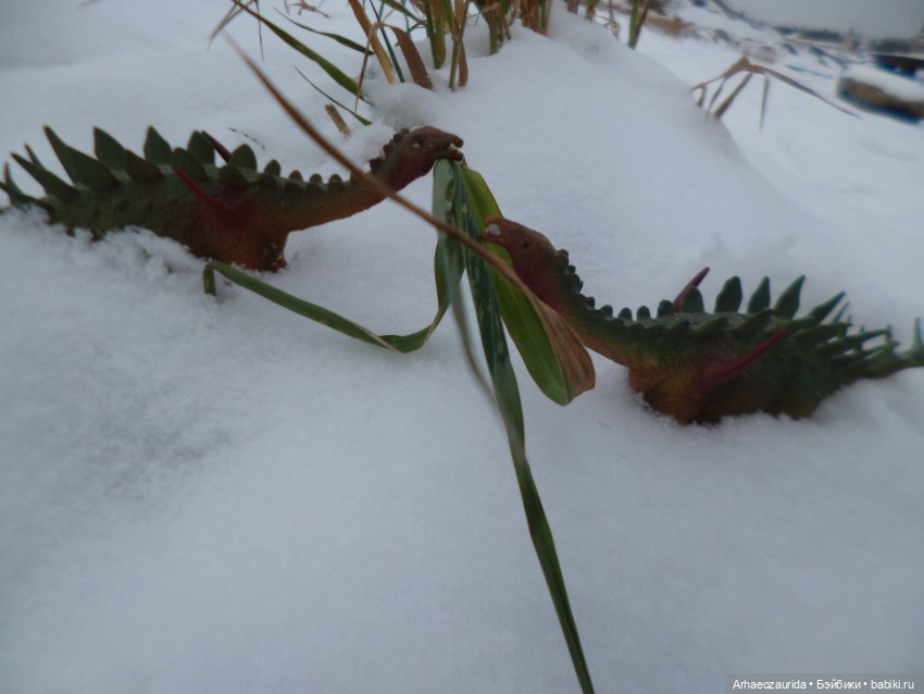 Зима пришла: ящеры и снег (фото 9)