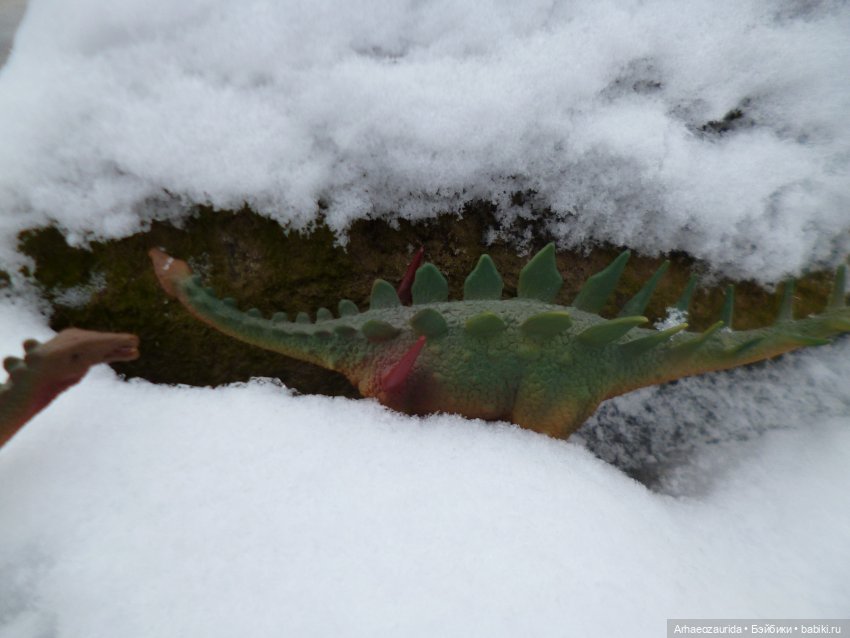 Зима пришла: ящеры и снег (фото 7)