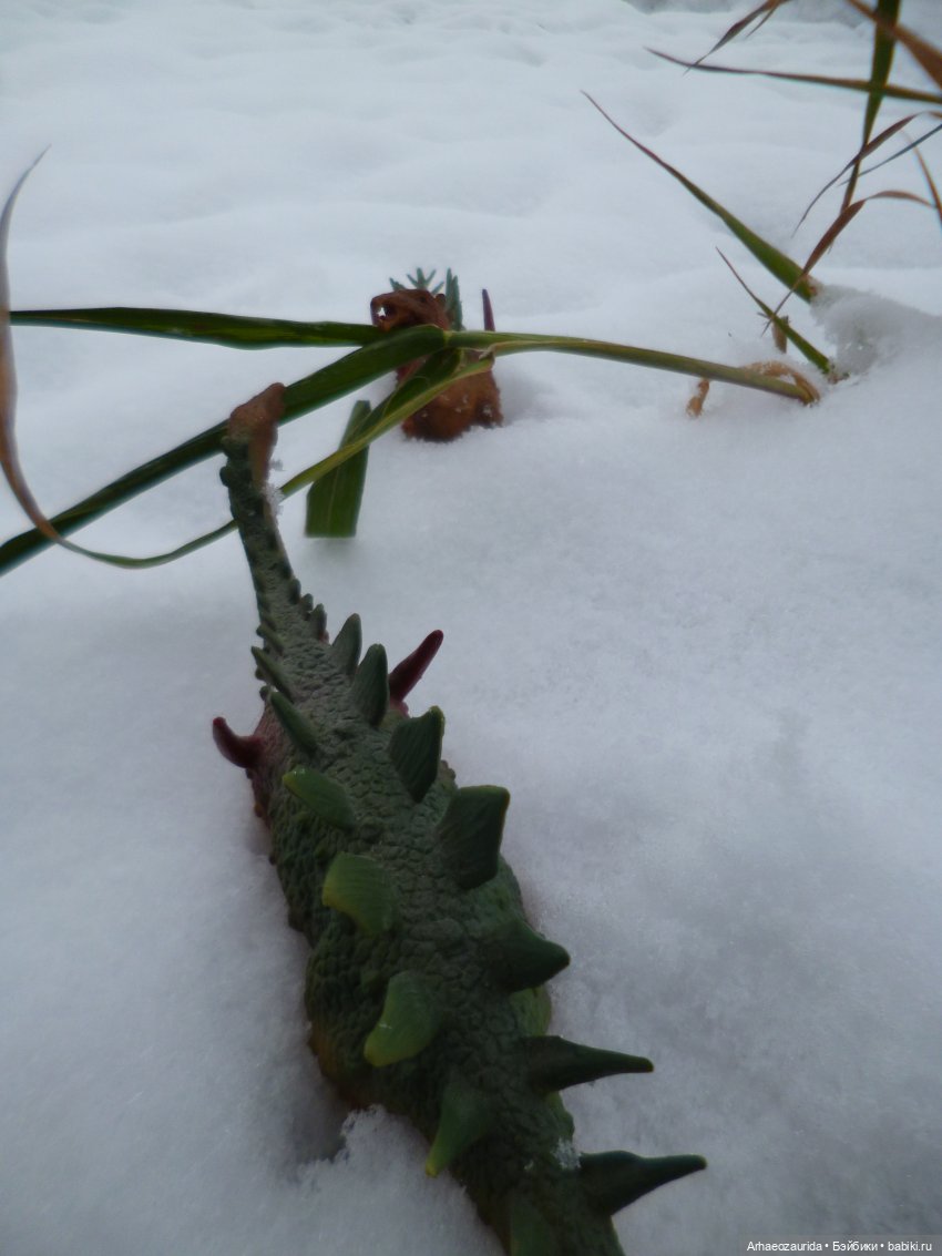 Зима пришла: ящеры и снег (фото 10)