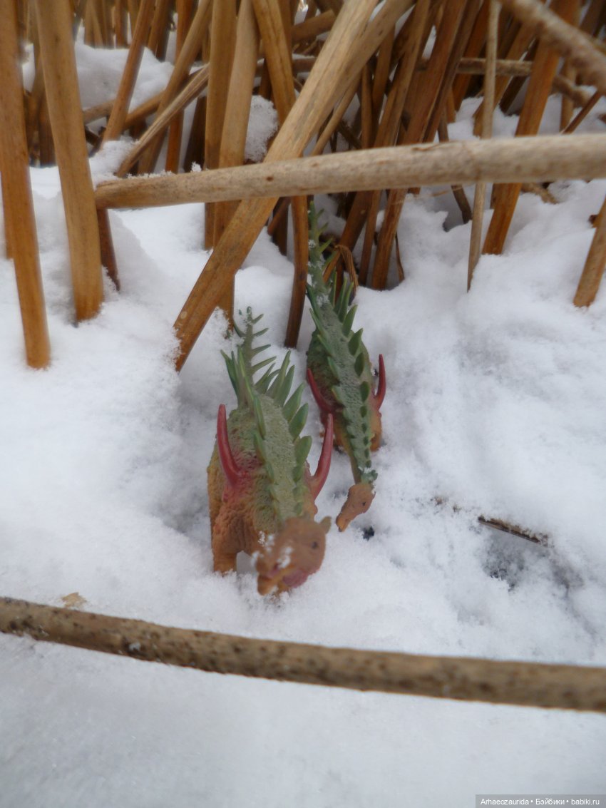 Зима пришла: ящеры и снег (фото 8)