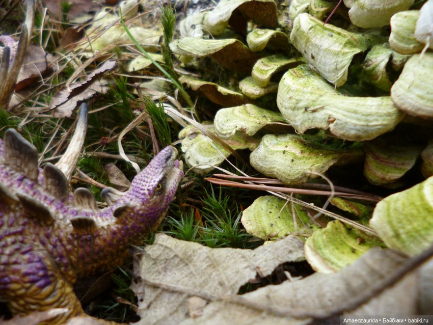 Теризинозавры: Когти Ломаного Леса (фото 6)