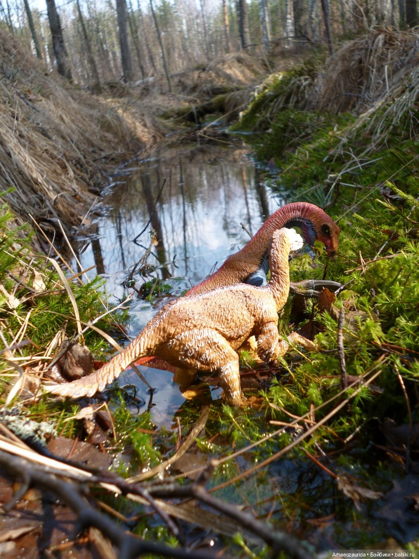 Теризинозавры: Когти Ломаного Леса