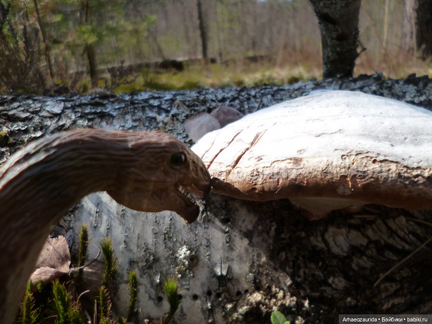 Теризинозавры: Когти Ломаного Леса (фото 5)