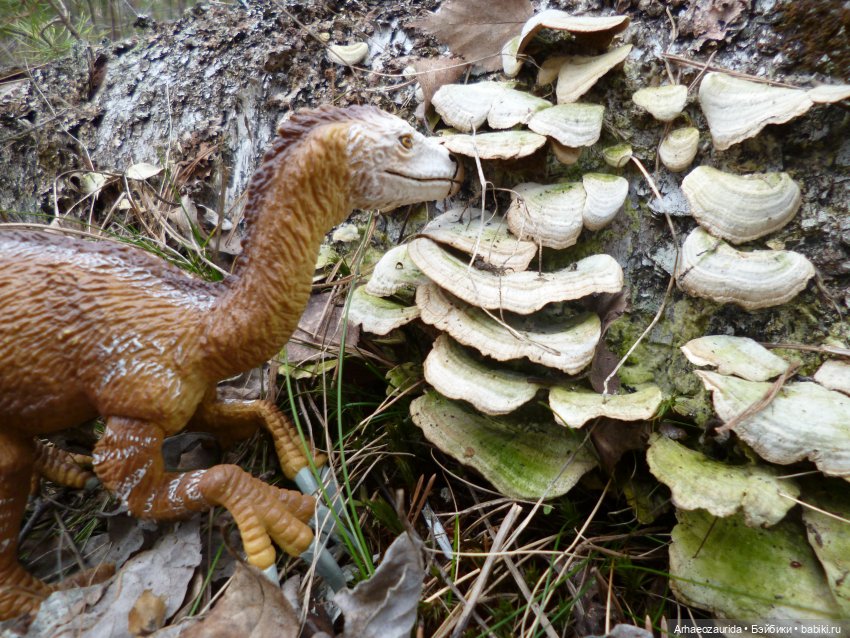 Теризинозавры: Когти Ломаного Леса (фото 8)