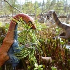 Теризинозавры: Когти Ломаного Леса