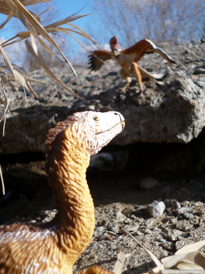 Зурга собирается в путь (продолжение "Когтей Ломаного Леса")