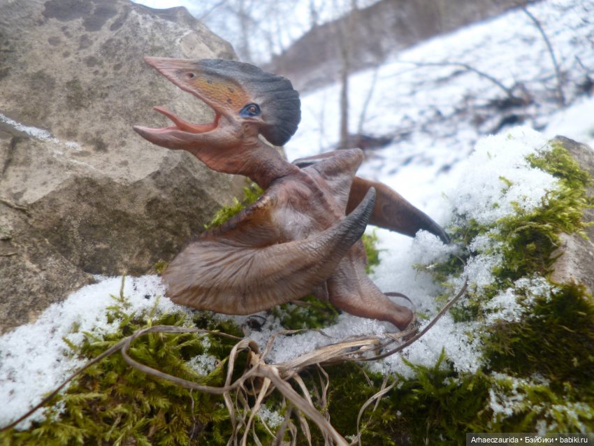 Зурга собирается в путь (продолжение "Когтей Ломаного Леса") (фото 4)