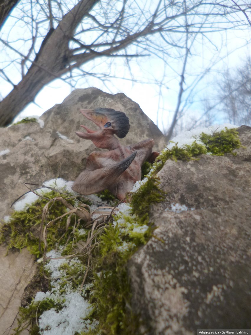 Зурга собирается в путь (продолжение "Когтей Ломаного Леса") (фото 3)