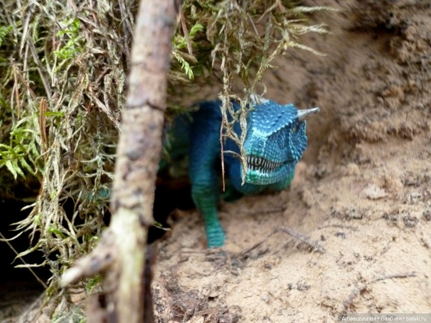 Карнотавры: спорная территория (фото 4)