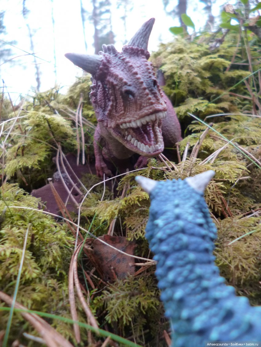 Карнотавры: спорная территория