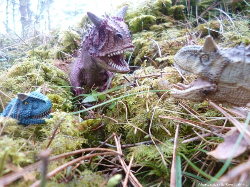 Карнотавры: спорная территория