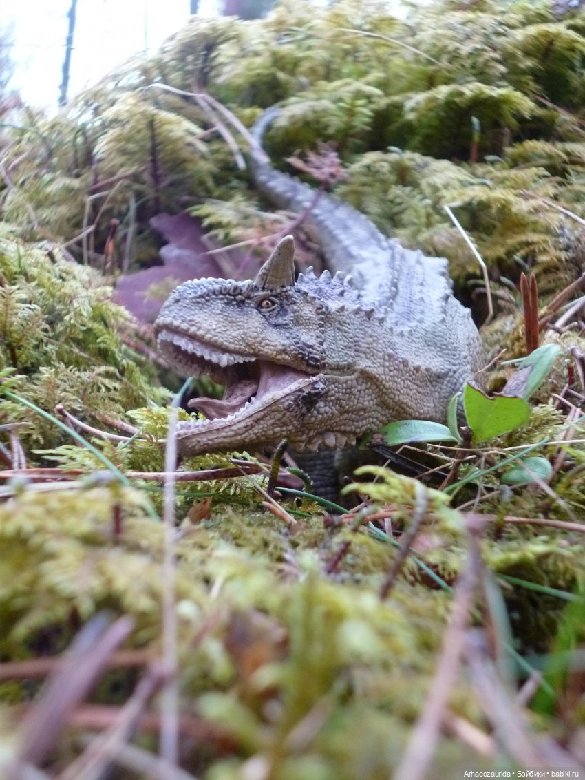 Карнотавры: спорная территория