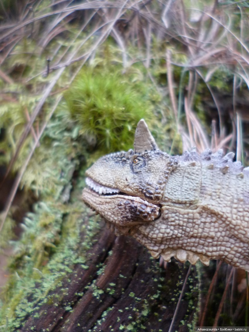 Карнотавры: спорная территория