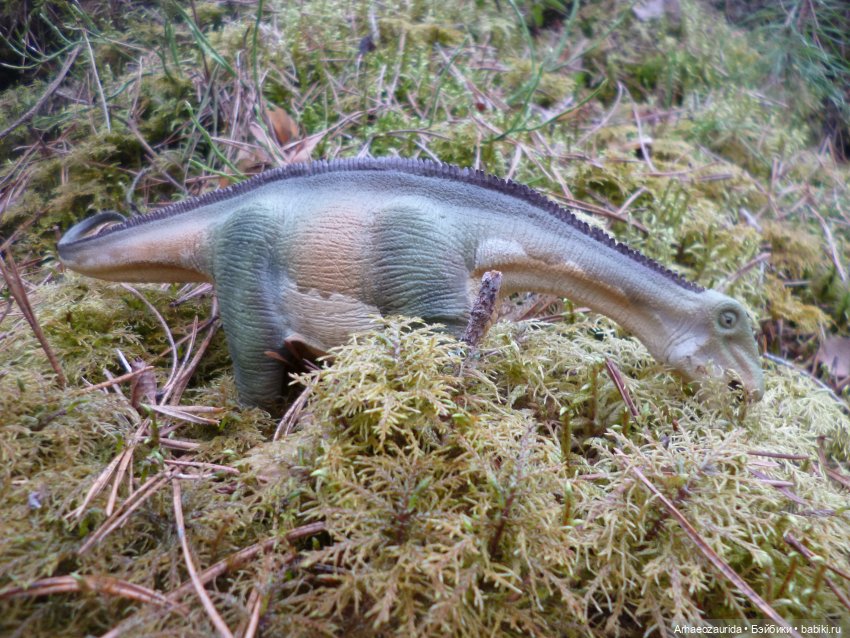 Карнотавры: спорная территория