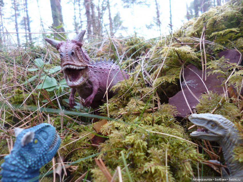 Карнотавры: спорная территория