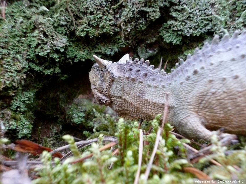 Карнотавры: спорная территория